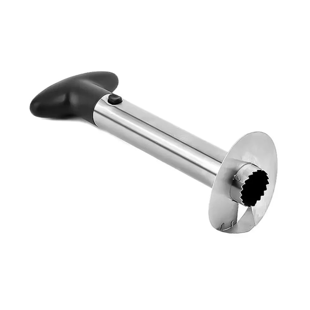 Spot roestvrijstalen ananassch - Kitchen Gadgets Smart recensie en prijs